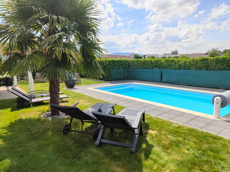 Well-maintained garden with a swimming pool, lounge chairs, a palm tree, and a neatly trimmed hedge.