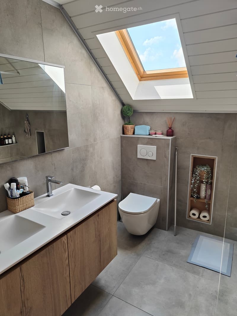 Modern bathroom with a large skylight, a white sink with a wooden cabinet, a toilet, a mirror, and decorative items on the counter.