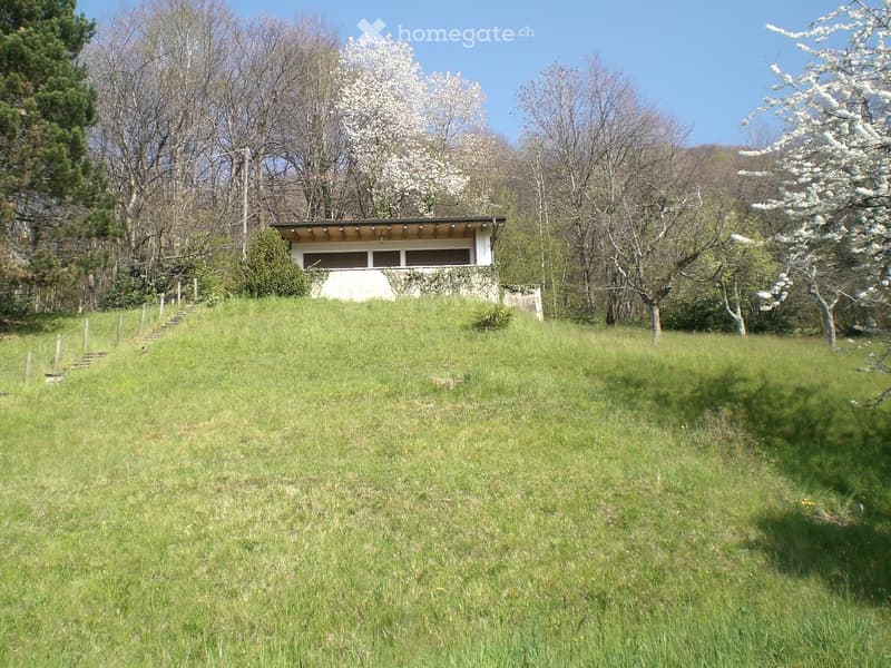 A grassy hill with a small modern building on top, surrounded by trees and shrubs. The building has a flat roof and large windows, and there is a small staircase leading up to it.
