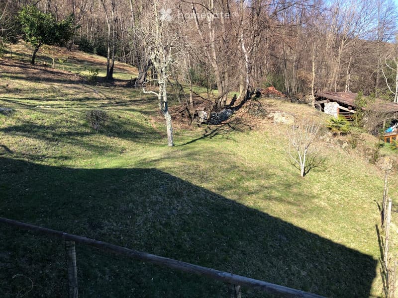 A grassy outdoor area with trees, a wooden fence, and a small stone structure in the background.