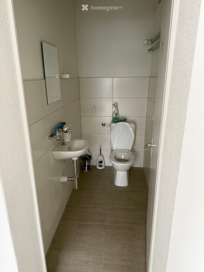 Modern bathroom with a toilet, sink, mirror, and cleaning supplies. Light-colored tiles and a clean, organized appearance.