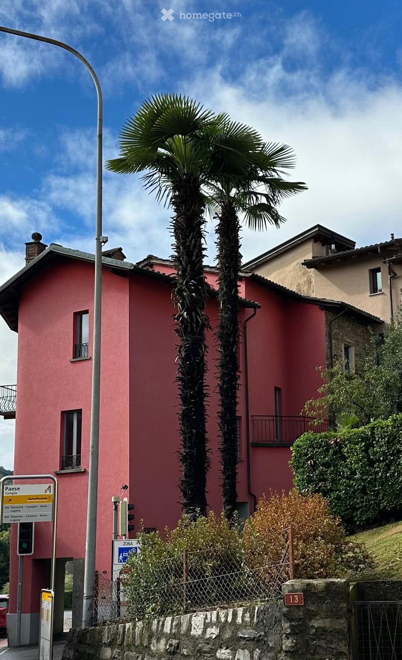 A two-story red building with multiple windows and balconies, surrounded by palm trees and greenery.
