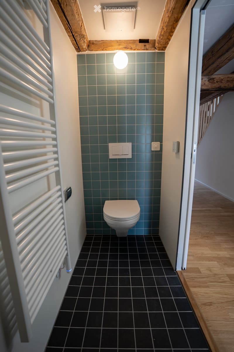 Modern bathroom with dark tiled floor, teal tiled wall, white toilet, and a white radiator on the left side.