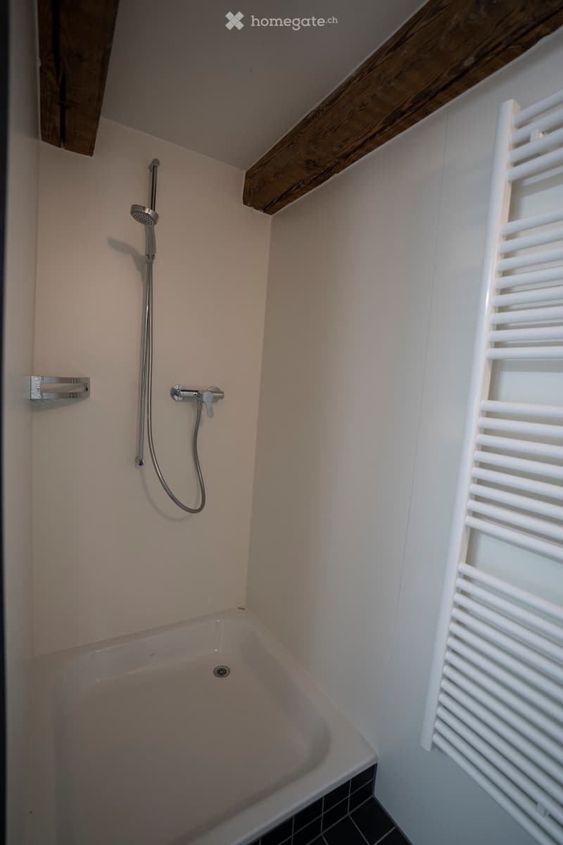 Modern bathroom with a corner bathtub, a handheld showerhead, a radiator, and a sleek faucet.
