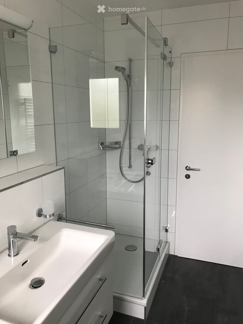 Modern bathroom with a white sink, chrome faucet, large mirror, and a glass-enclosed shower with a modern showerhead.