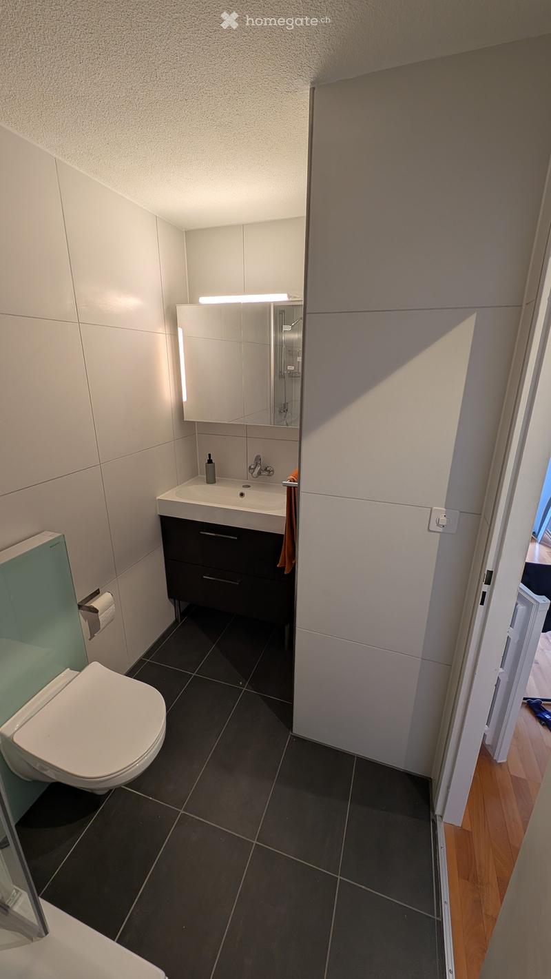 Modern bathroom with dark tiled floor, white toilet, sink with mirror, and built-in cabinet.