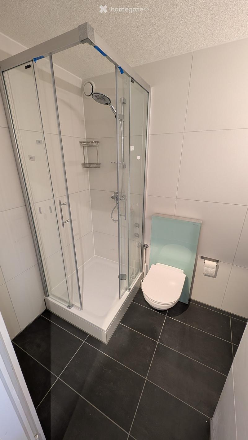 Modern bathroom with black tiled floor, white tiled walls, glass-enclosed shower, toilet, and a showerhead with multiple spray settings.