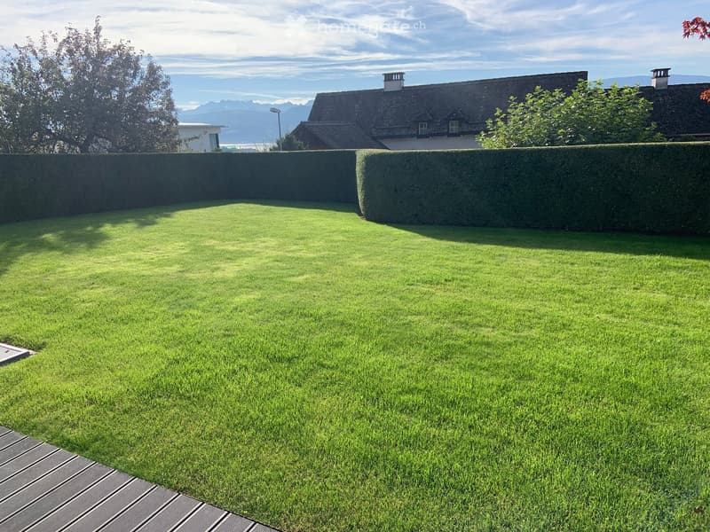 Well-maintained lawn with neatly trimmed hedges and a view of a house and mountains in the background.