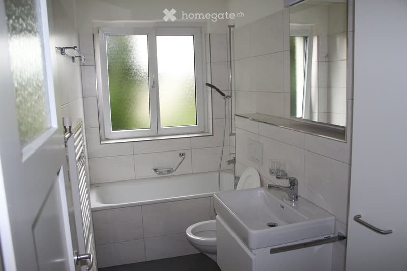 Bathtub, toilet, sink, shower, mirror, glass door, heating rail, wall-mounted shower