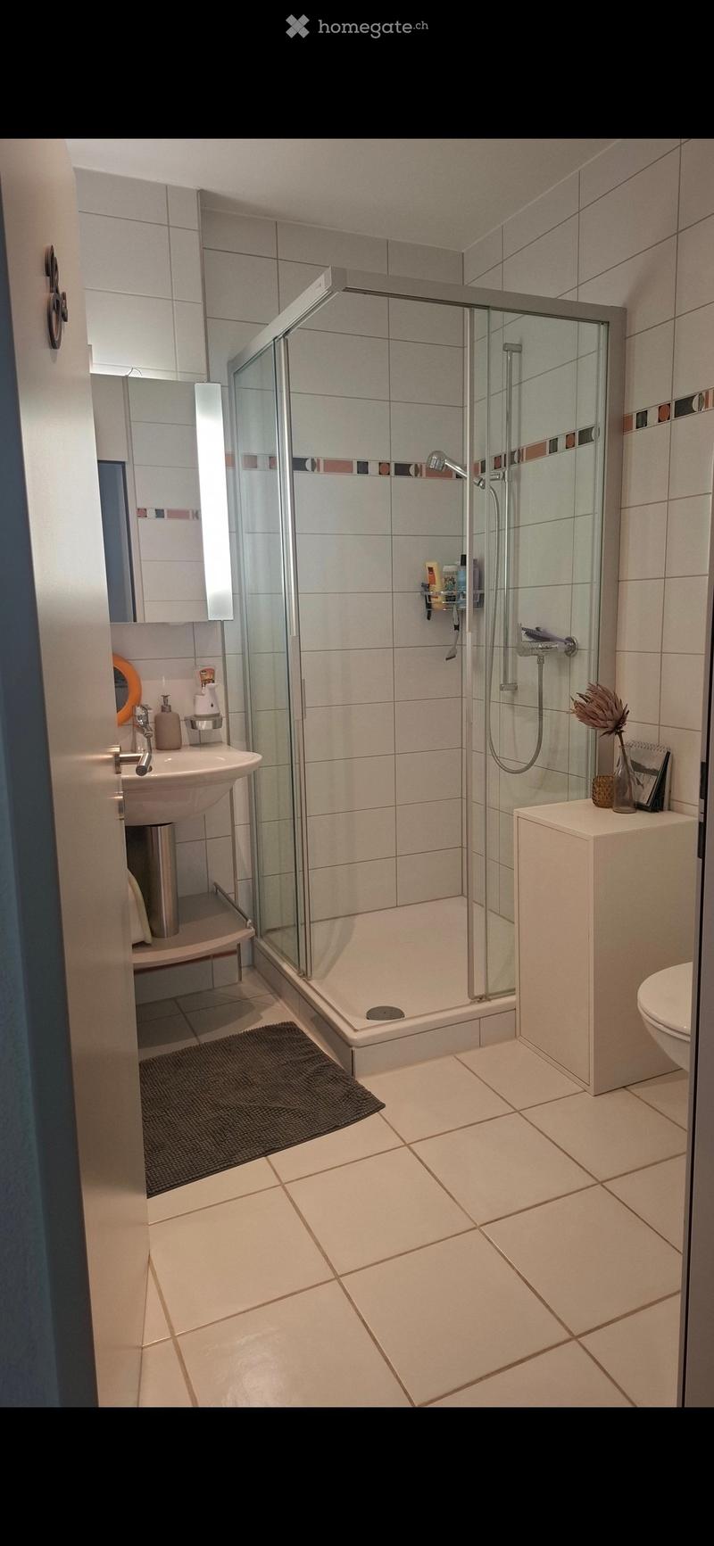 Modern bathroom with white tiles, a glass-enclosed shower, a sink with a mirror, and a toilet. Includes a small shelf with toiletries and a decorative vase.