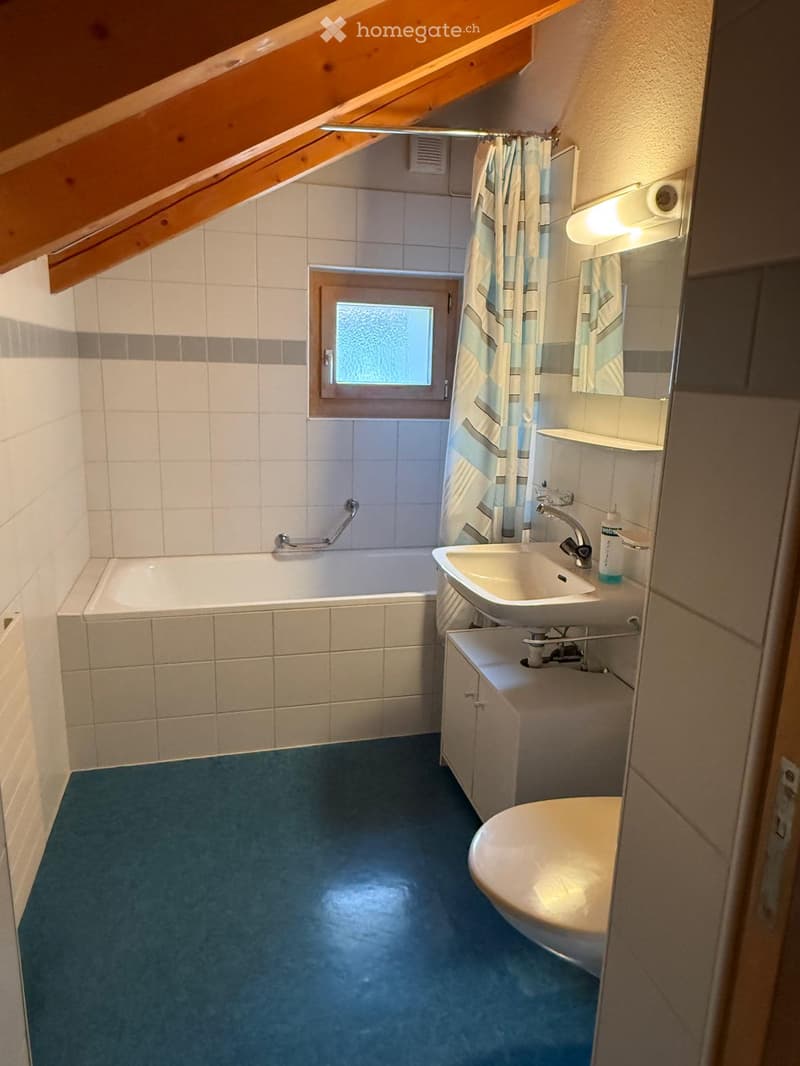 Bathroom with a bathtub, sink, mirror, and toilet. Features a window with frosted glass, a shower curtain, and a blue carpeted floor.