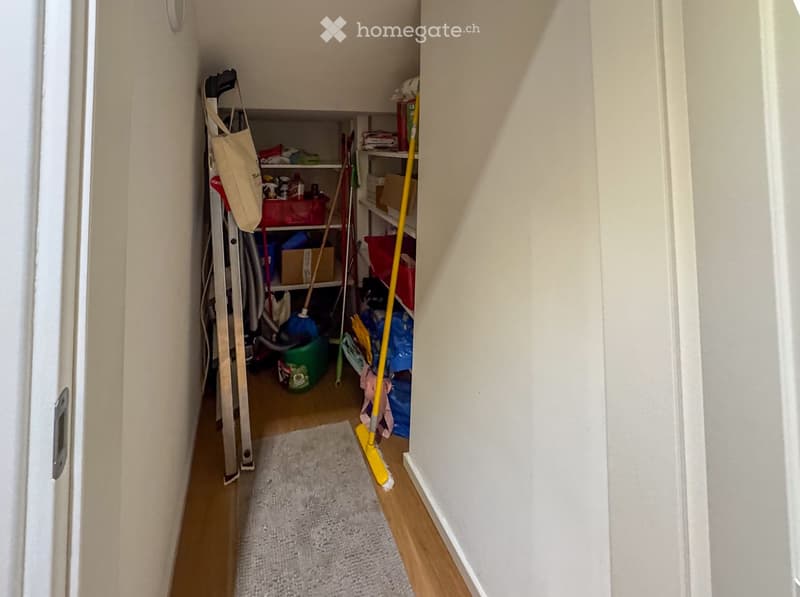 A narrow hallway with wooden flooring, a small rug, and shelves filled with cleaning supplies and storage boxes.