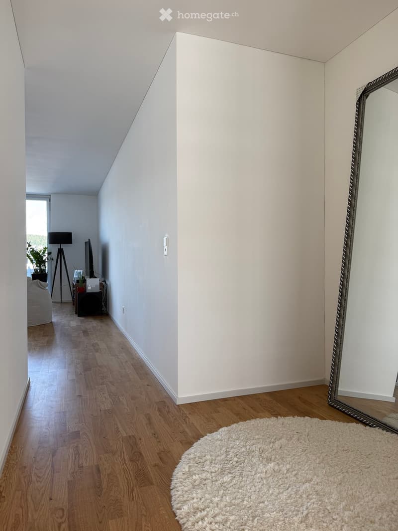 A modern, well-lit hallway with wooden flooring, white walls, a large mirror, a fluffy white rug, a sofa, a small table, a lamp, and a screen in the background.