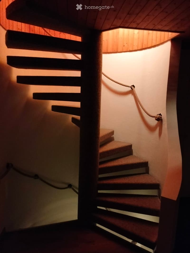 Wooden staircase with carpeted steps and a rope handrail, illuminated by warm lighting.