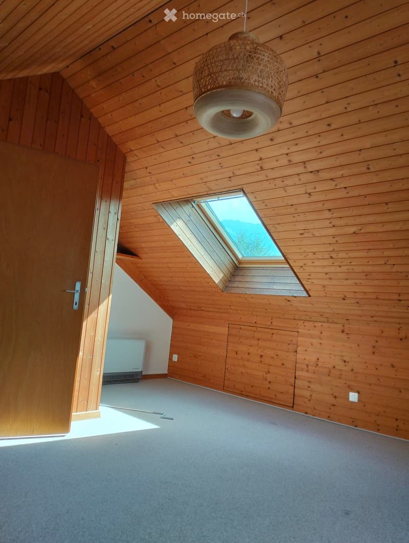 Empty attic room with wooden walls and ceiling, skylight window, and a hanging woven light fixture.