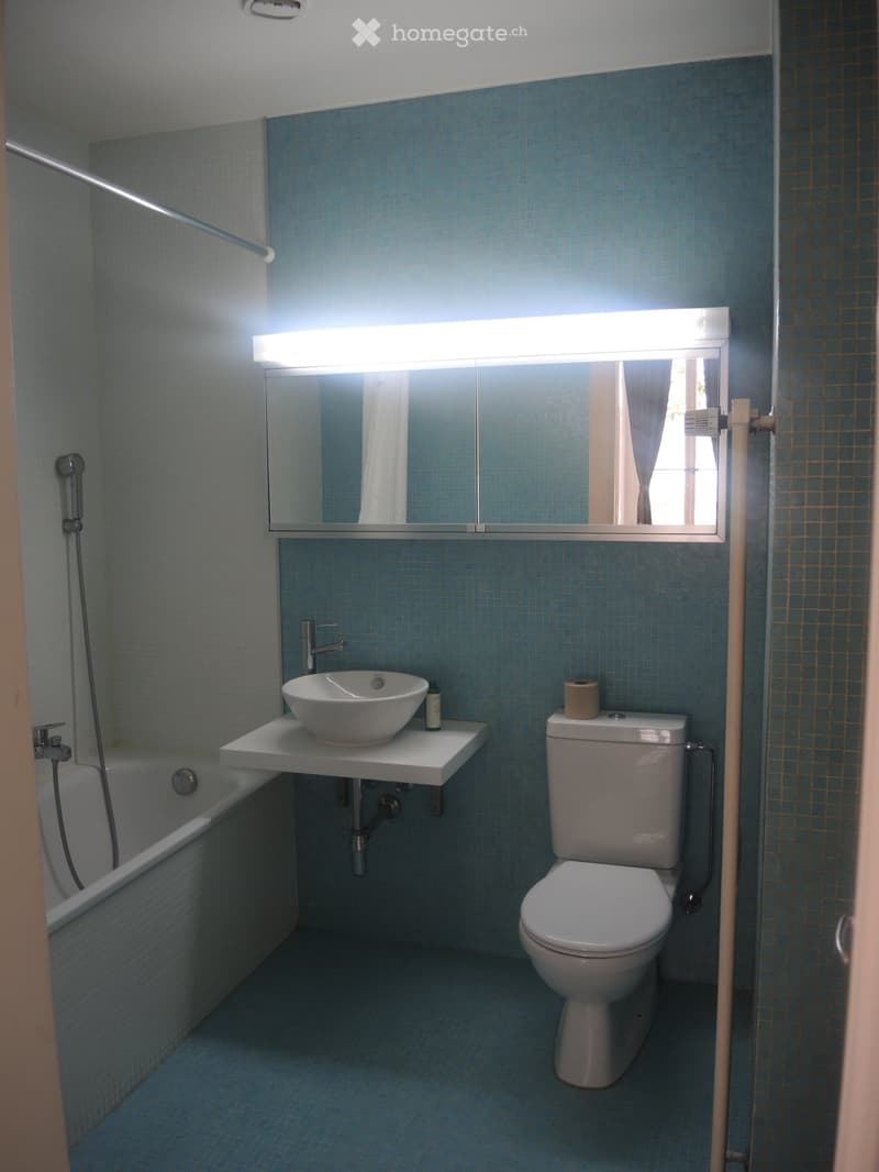 Blue tiles, white bathtub, white sink, round white bowl, toilet, shower head, mirror, roll of toilet paper