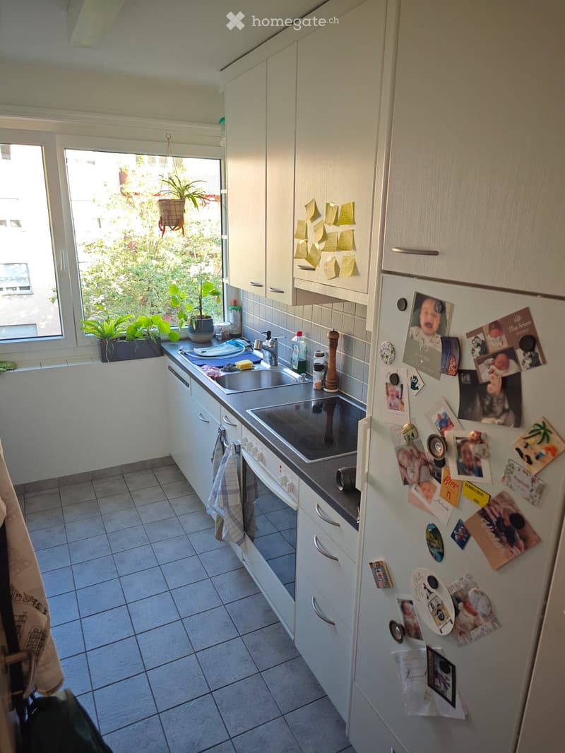 Modern kitchen with white cabinets, stainless steel sink, oven, and refrigerator. The refrigerator is covered with various magnets, photos, and notes. There is a potted plant on the windowsill and a towel hanging from the oven handle.