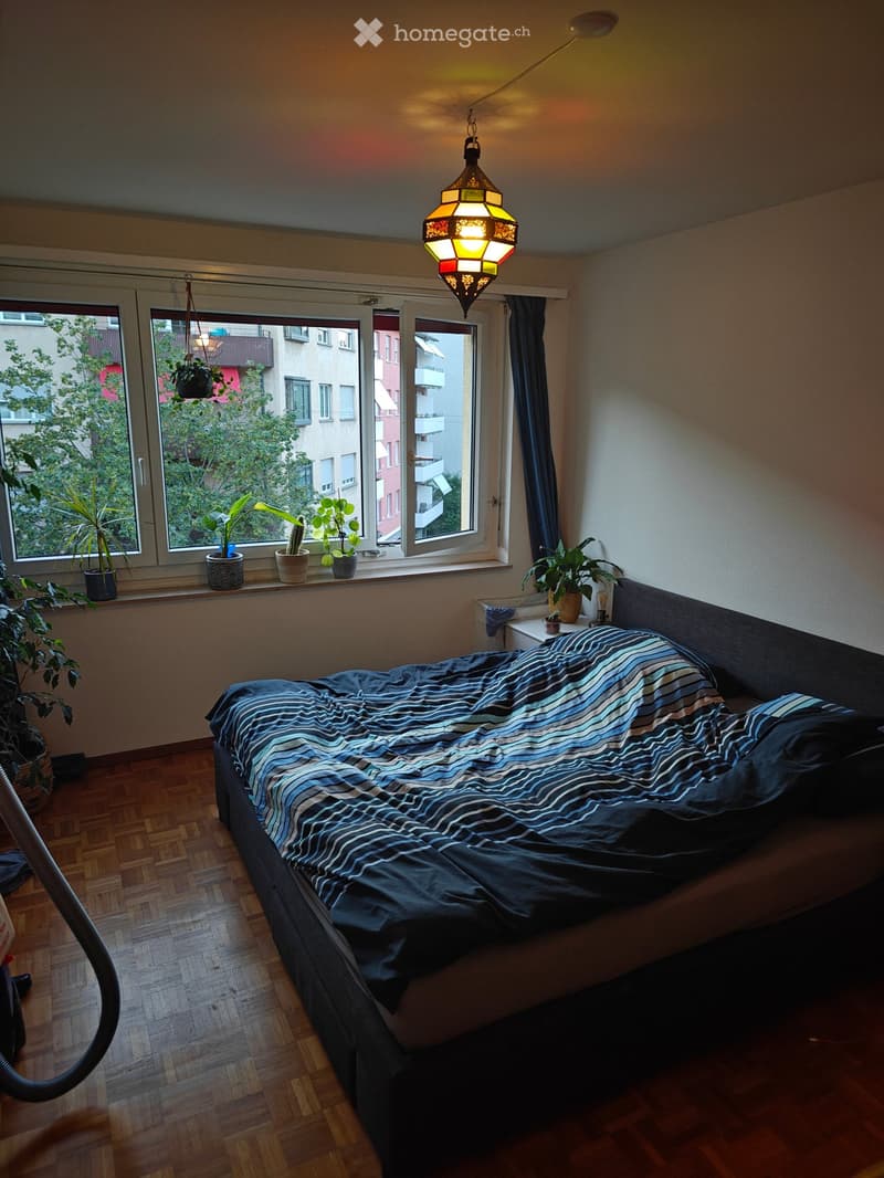 Cozy bedroom with wooden flooring, large window with potted plants on the sill, a bed with striped bedding, a nightstand with a lamp, and additional plants near the window.