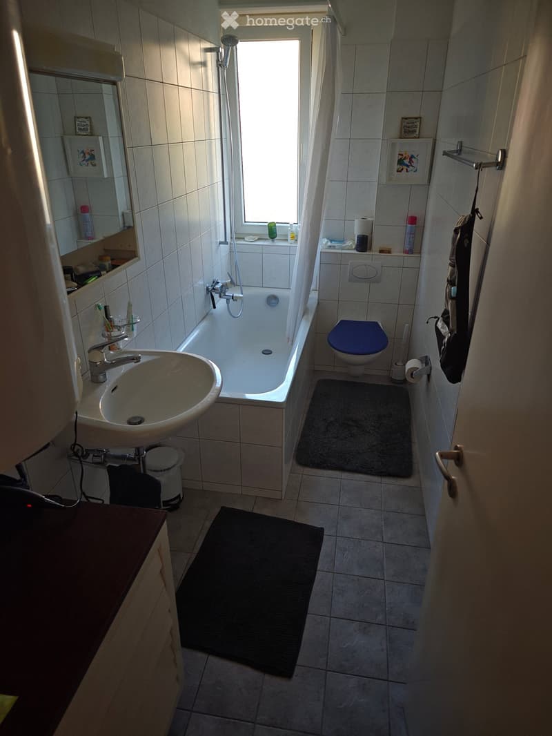 Bathroom with a sink, bathtub, toilet, mirror, toothbrush holder, shower curtain, and two bathroom rugs.