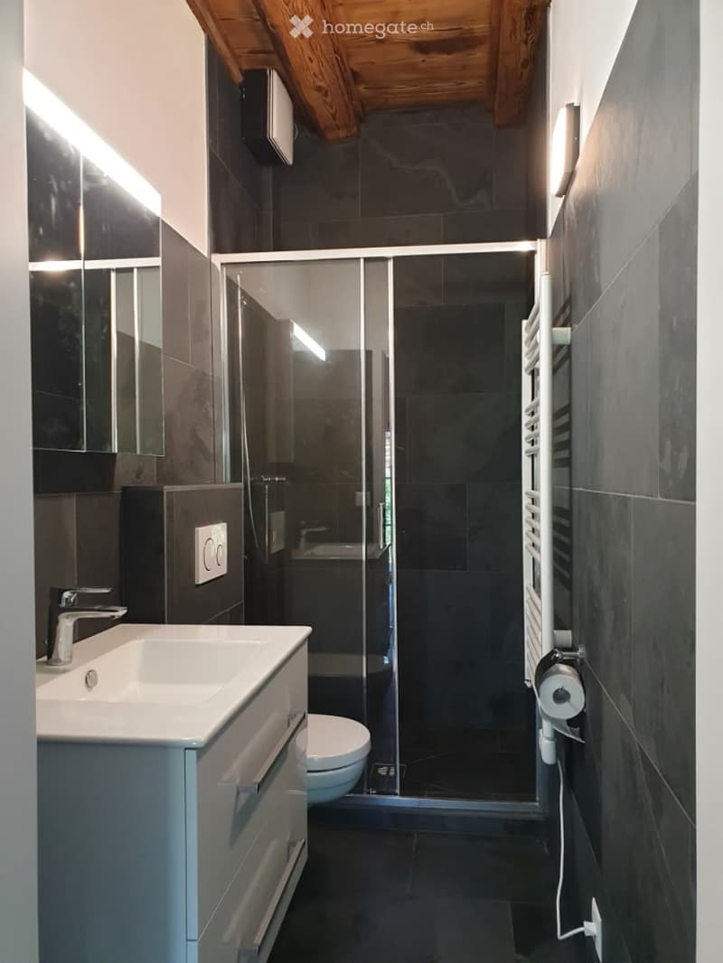 Modern bathroom with dark tiled walls and floor, a white sink with a chrome faucet, a toilet, a glass-enclosed shower stall, and a towel rack.
