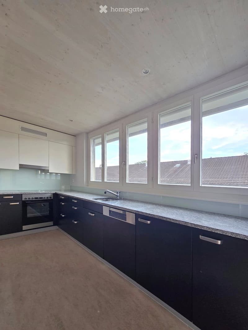 modern kitchen with white cabinets, marble counter top, stainless steel appliances, dishwasher, and windows.