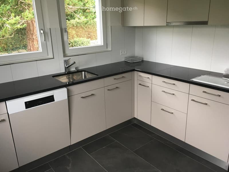 Modern kitchen with white cabinets, black countertops, stainless steel sink, and dishwasher. Large windows provide natural light.
