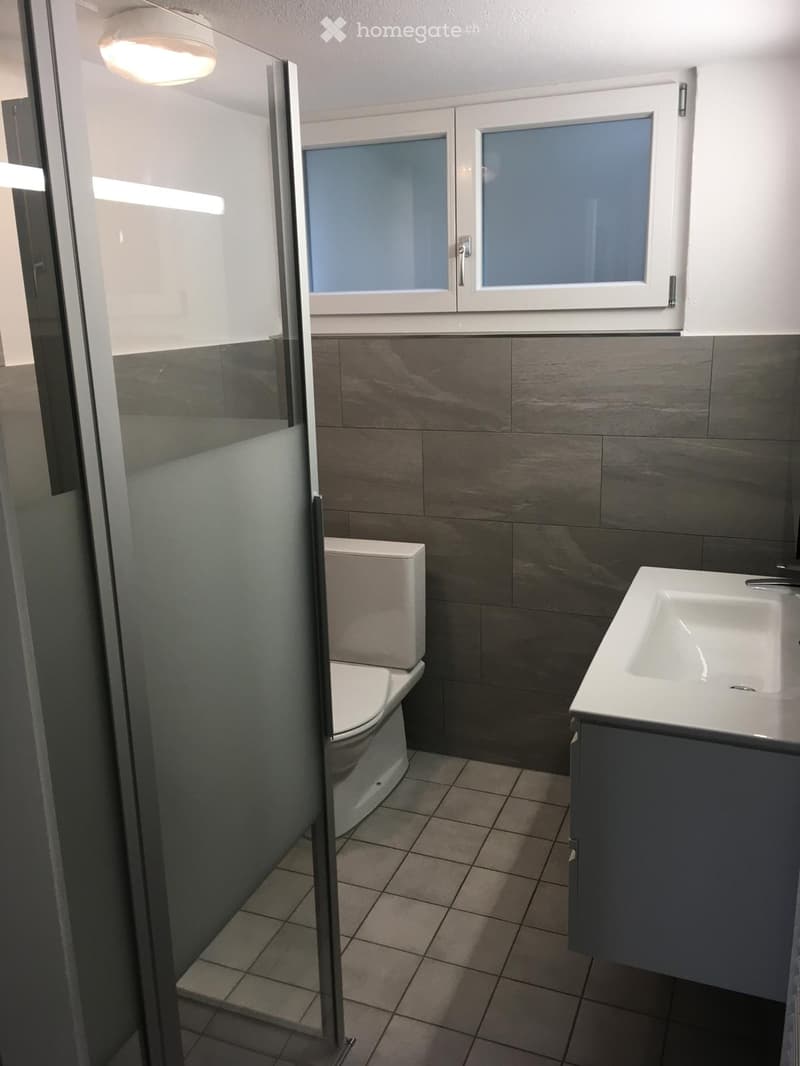 Modern bathroom with a toilet, sink, and cabinet. Features tiled walls and floor, a glass shower enclosure, and a window with frosted glass panels.