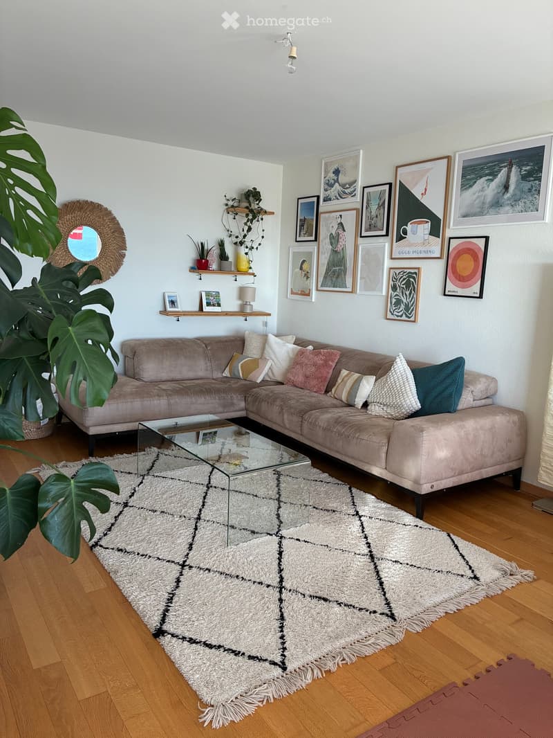Modern living room with a large sectional sofa, glass coffee table, shaggy rug, wall-mounted shelves with decorative items, and various picture frames. A large leafy plant adds a touch of greenery.