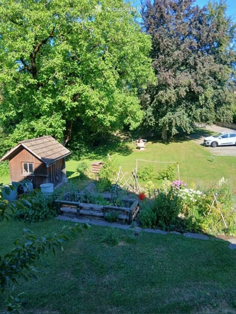Well-maintained garden with a raised wooden planter, small wooden shed, lawn, and a parked car in the driveway.