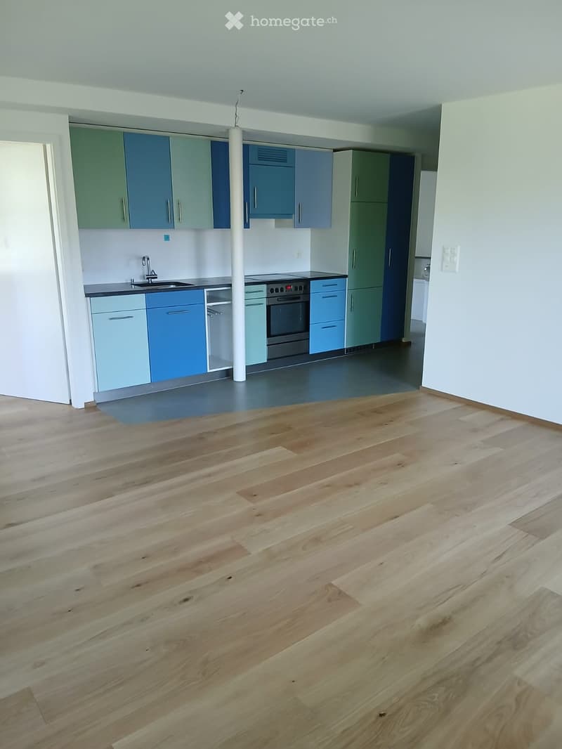Empty kitchen area with modern cabinets, stainless steel appliances, and light wooden flooring.