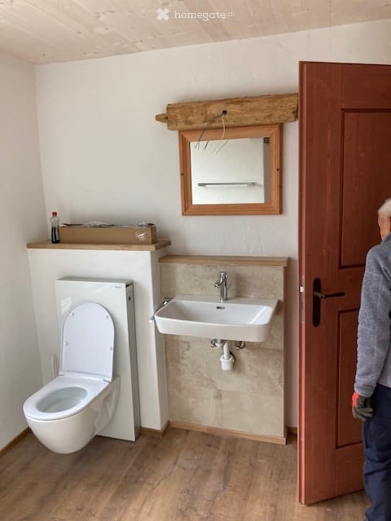 Bathroom with a toilet, sink, and mirror. Wooden door is open, and a shelf with a bottle is visible.
