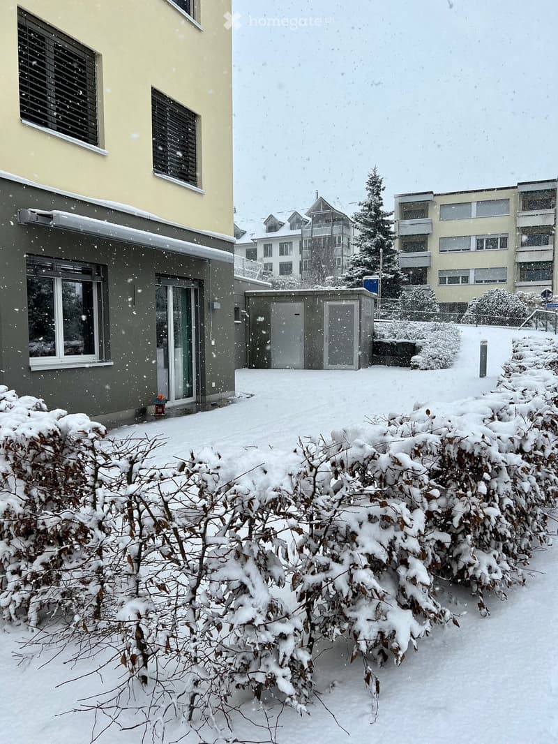 Snow-covered garden area with bushes, a small shed, and neighboring buildings in the background.