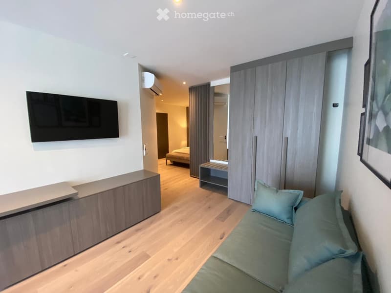 Living room with grey couch, blue pillows, wooden floor, grey cabinetry, wall mounted flatscreen TV, large wardrobe, airconditioning.