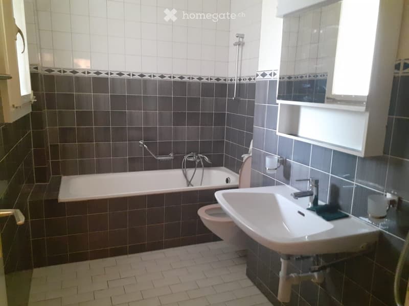 Bathroom with a bathtub, toilet, sink, and a cup on the sink counter. The walls are tiled in dark brown with white tiles at the top.