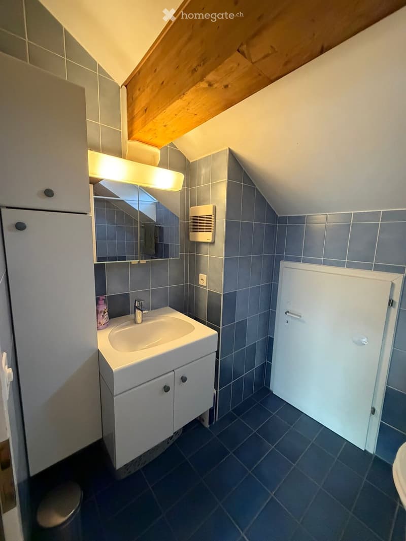 Modern bathroom with a white sink, mirror, and cabinet. Blue tiles on walls and floor, wooden slanted ceiling.