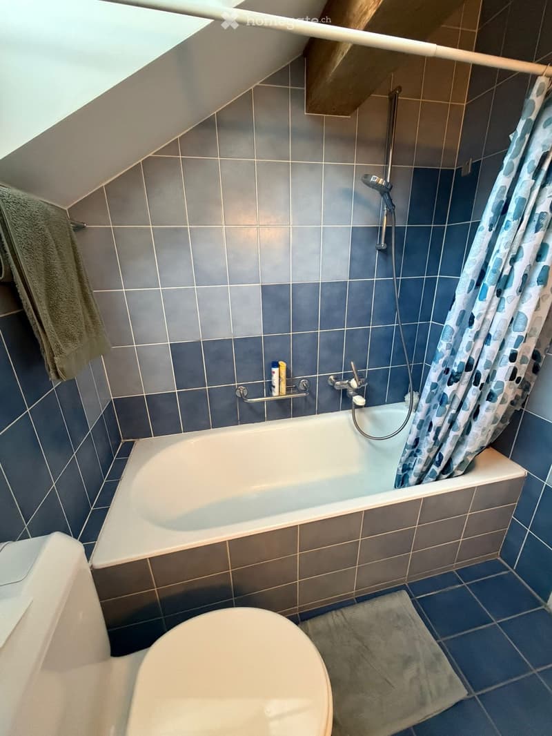 Bathroom with a bathtub, toilet, showerhead, and a towel on the floor. The walls are tiled in dark blue and grey, and there is a shower curtain with a blue and white pattern.