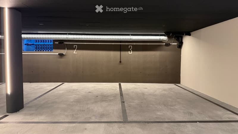 {"visible_features": ["Garage"], "type": "Garage", "objects": [], "description": "Empty underground garage with concrete floor, numbered parking spaces, and a single support pillar.", "localized_descriptions": {"EN": "Empty underground garage with concret