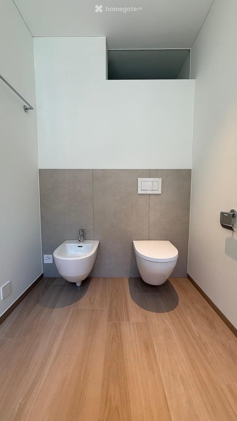 Modern bathroom with light wooden flooring, white walls, a bidet, and a toilet. The walls feature a two-tone design with white upper sections and grey lower sections.