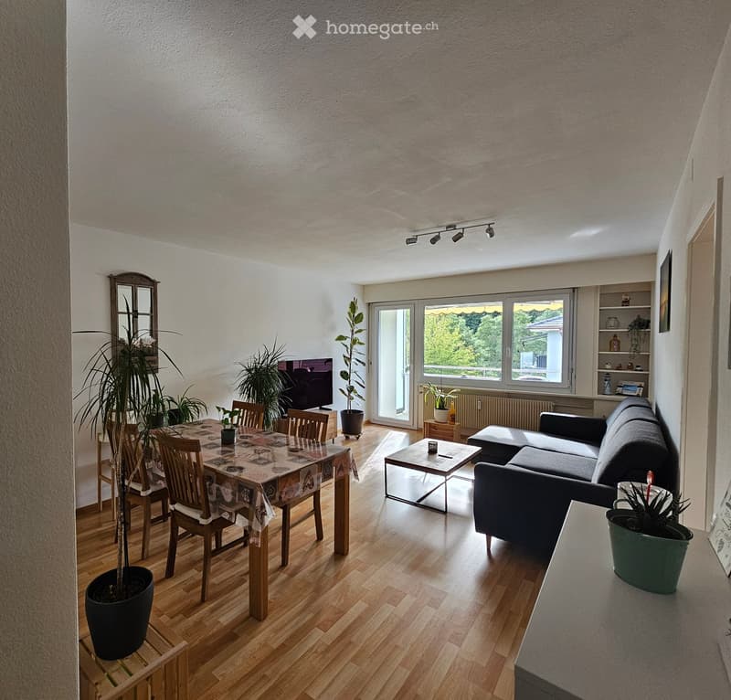 Bright living and dining area with wooden flooring, large windows, sofa, coffee table, dining table with chairs, and potted plants.
