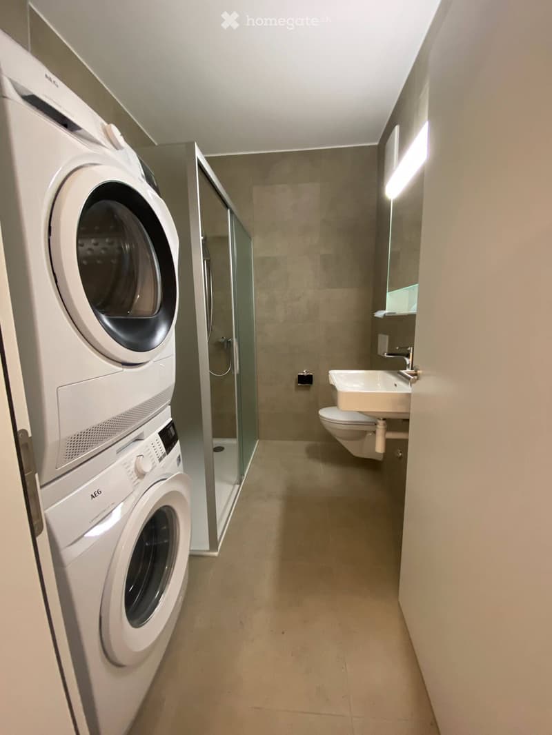 Modern bathroom with a washing machine, sink, toilet, and a glass-enclosed shower area.
