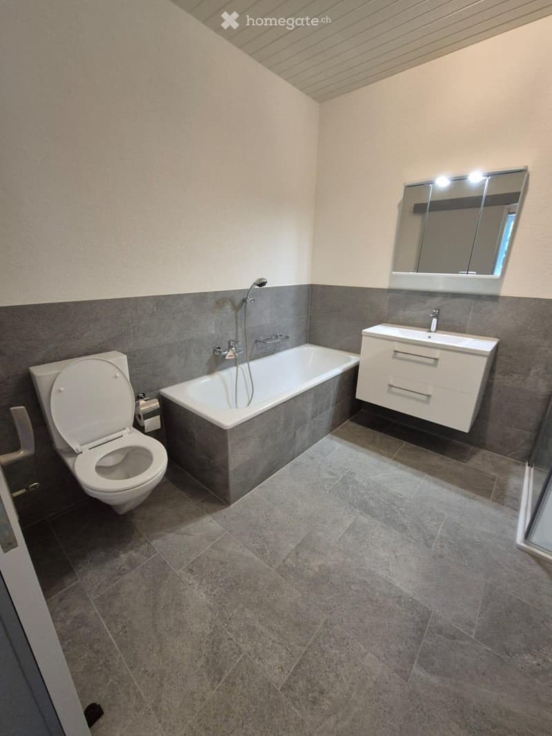 Modern bathroom with a bathtub, toilet, sink, and mirror. Features grey tiled walls and a grey tiled floor.