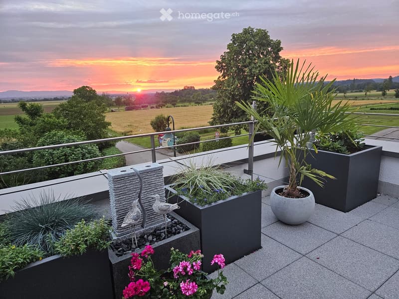Balcony with modern railing, potted plants, decorative water feature, and scenic sunset view over fields.