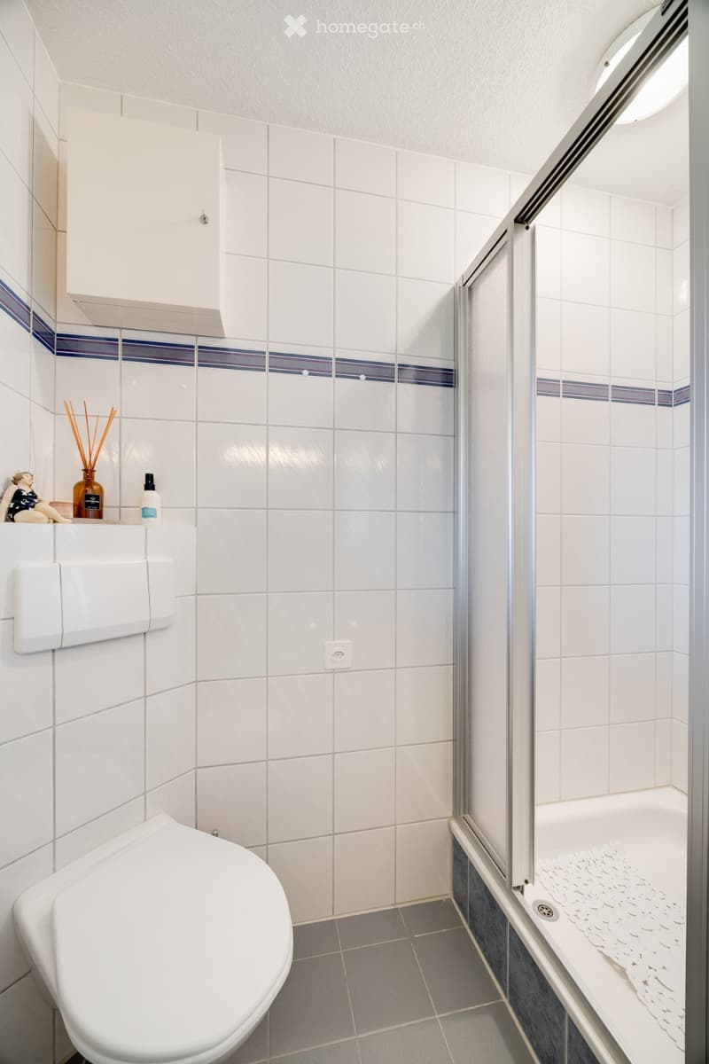 Modern bathroom with white tiles, a toilet, a glass-enclosed shower, and a small cabinet with decorative items on top.