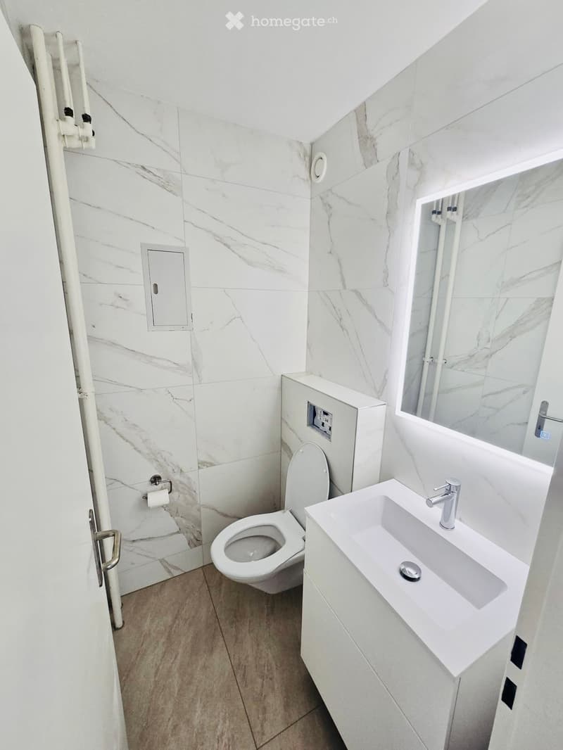 Modern bathroom with white marble walls, a toilet, a sink with a modern faucet, and a mirror above the sink. Wooden flooring is visible.
