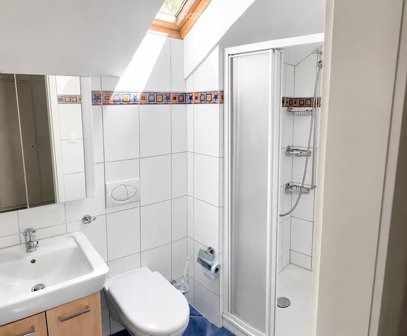 Modern bathroom with white tiles, a sink, toilet, mirror, and a walk-in shower with a glass enclosure. Features a skylight window and decorative border tiles.