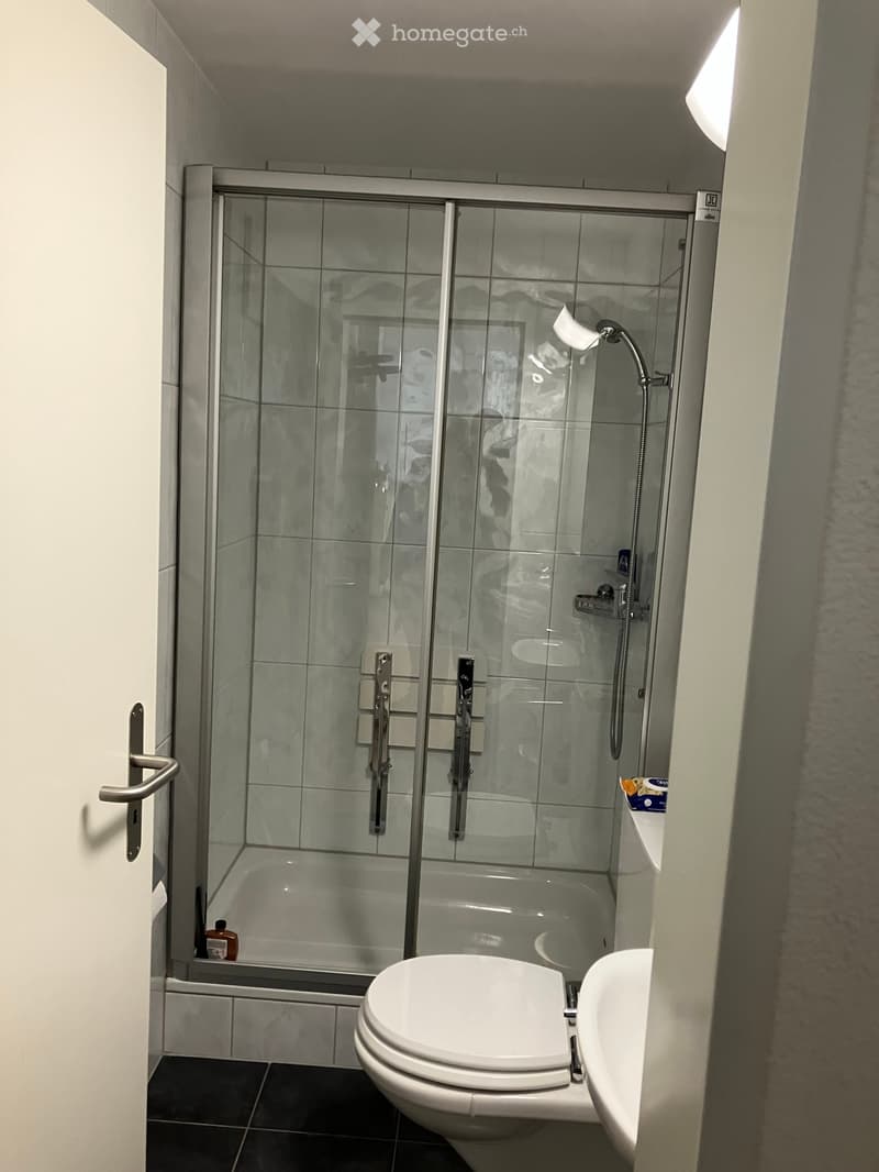 Bathroom. Modern bathroom with a glass-enclosed shower, toilet, sink, and a small shelf holding toiletries.