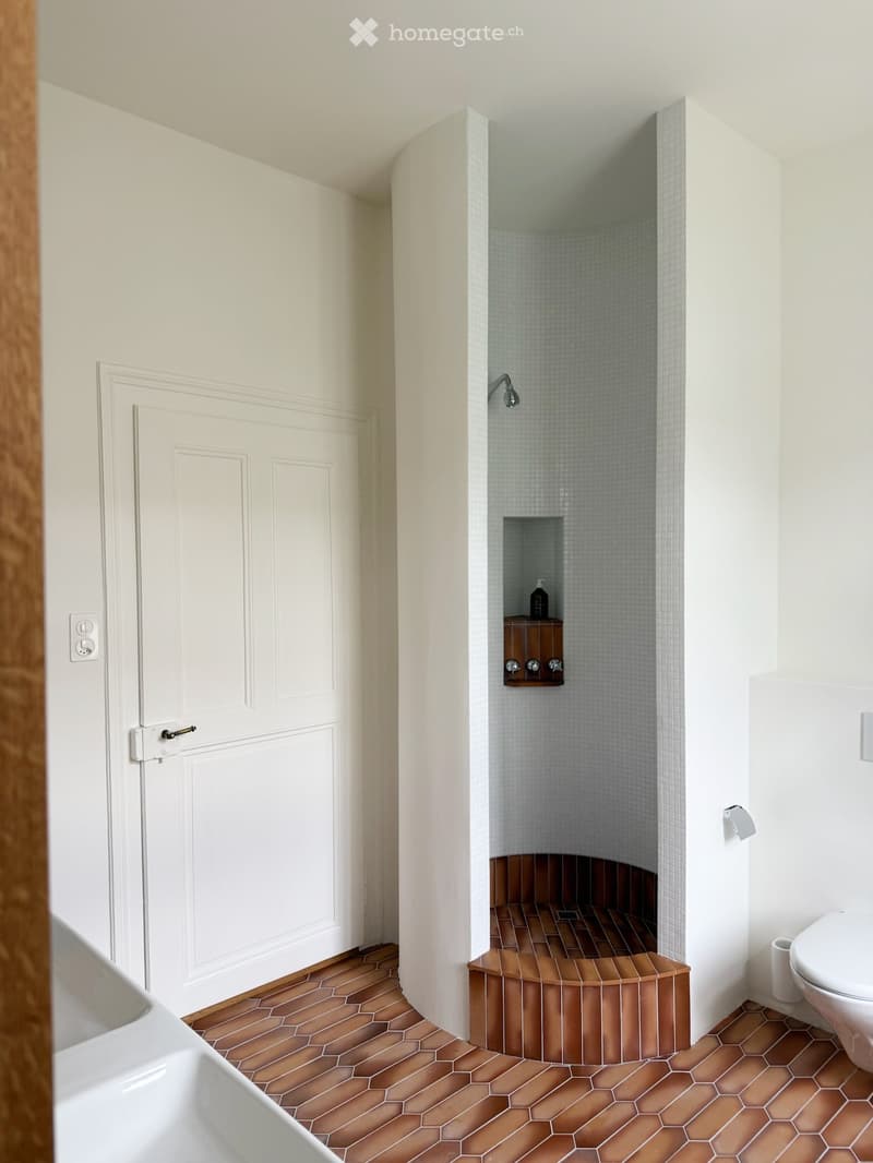 Modern bathroom with hexagonal brown tiles, white walls, a toilet, a shower area with a built-in shelf, and a door with a silver handle.