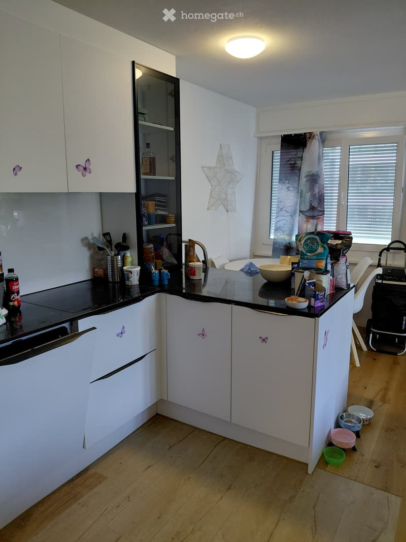 Modern kitchen with white cabinets, black countertop, and various kitchen items including cups, bowls, and a bottle. There are also pet bowls on the floor near the cabinets.