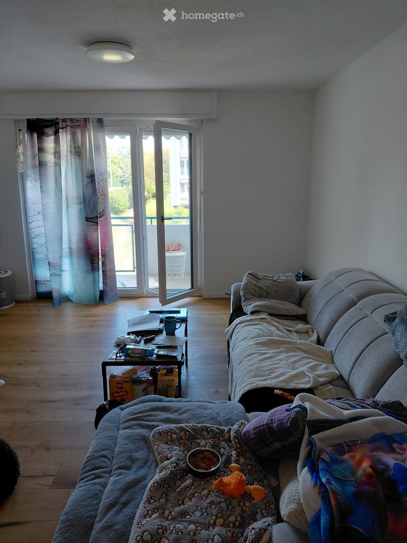 Living room with a grey sofa, coffee table, dog bed, and a balcony with a view.