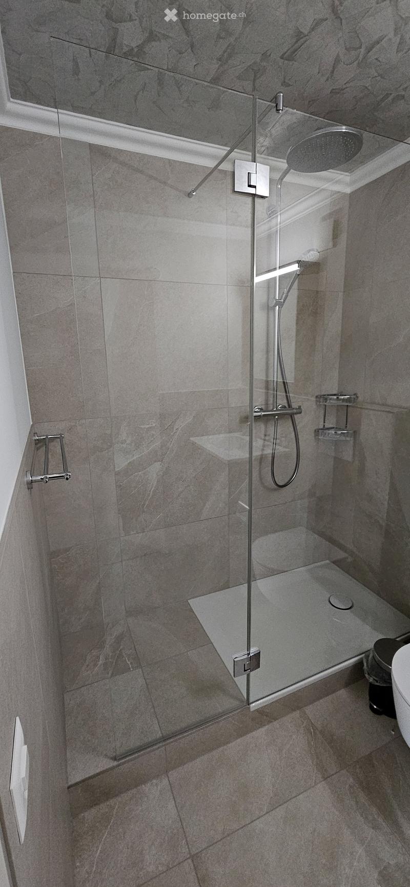 Modern bathroom with a glass-enclosed shower, sleek showerhead, and grey marble tiles.